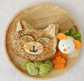 幼貓保健食品